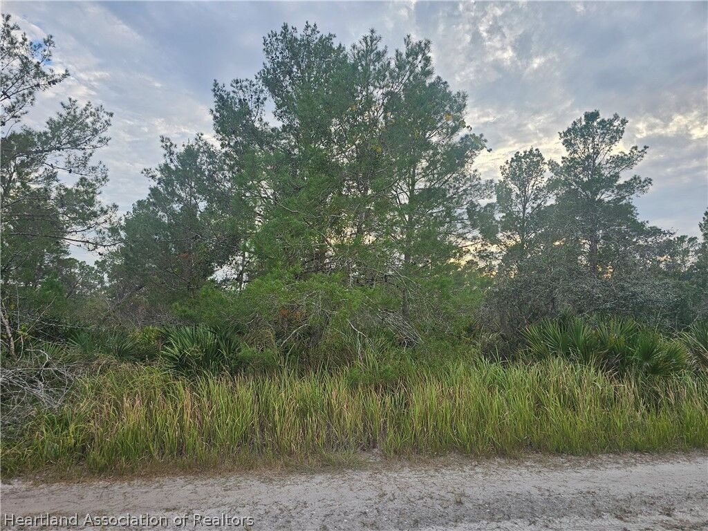 Property Photo:  2217 Algonquin Drive  FL 33875 