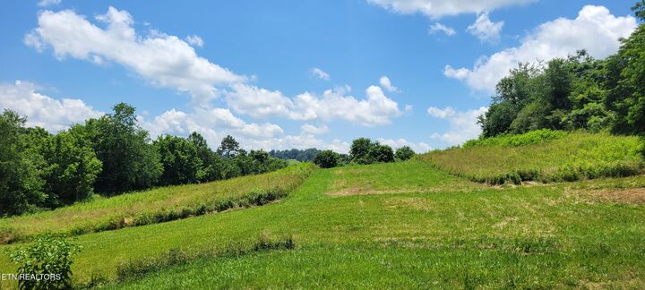 Property Photo:  151 Rolen Rd  TN 37825 