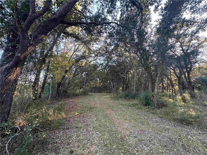 Property Photo:  0 Benton Road  AL 36535 