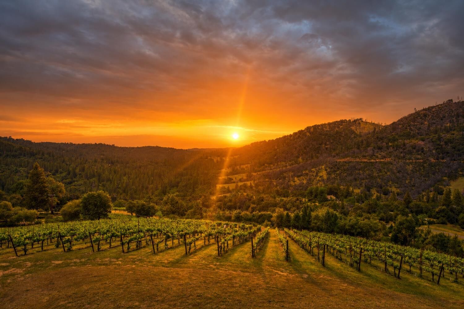 Property Photo:  7201 Happy Valley Road  CA 95684 