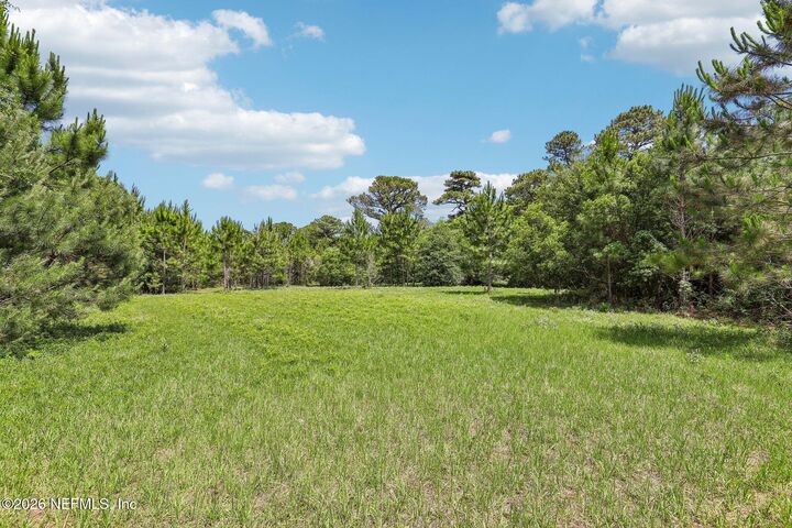 Property Photo:  15976 Red Bass Drive  FL 32226 