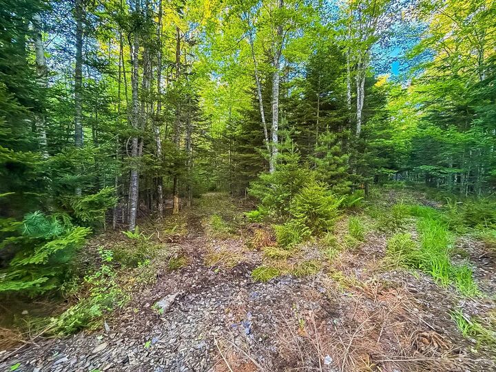Property Photo:  Lot Pid60242856 Mullock Road  NS B4V 5N5 