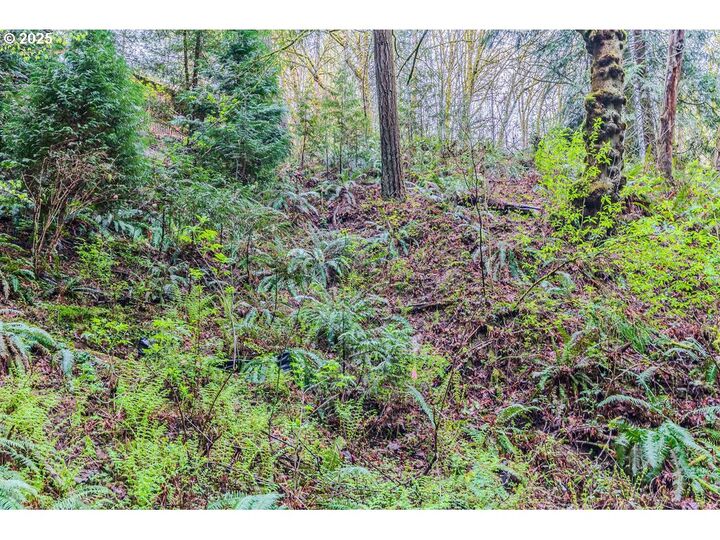 Property Photo:  6933 SE Barbara Welch Rd  OR 97236 
