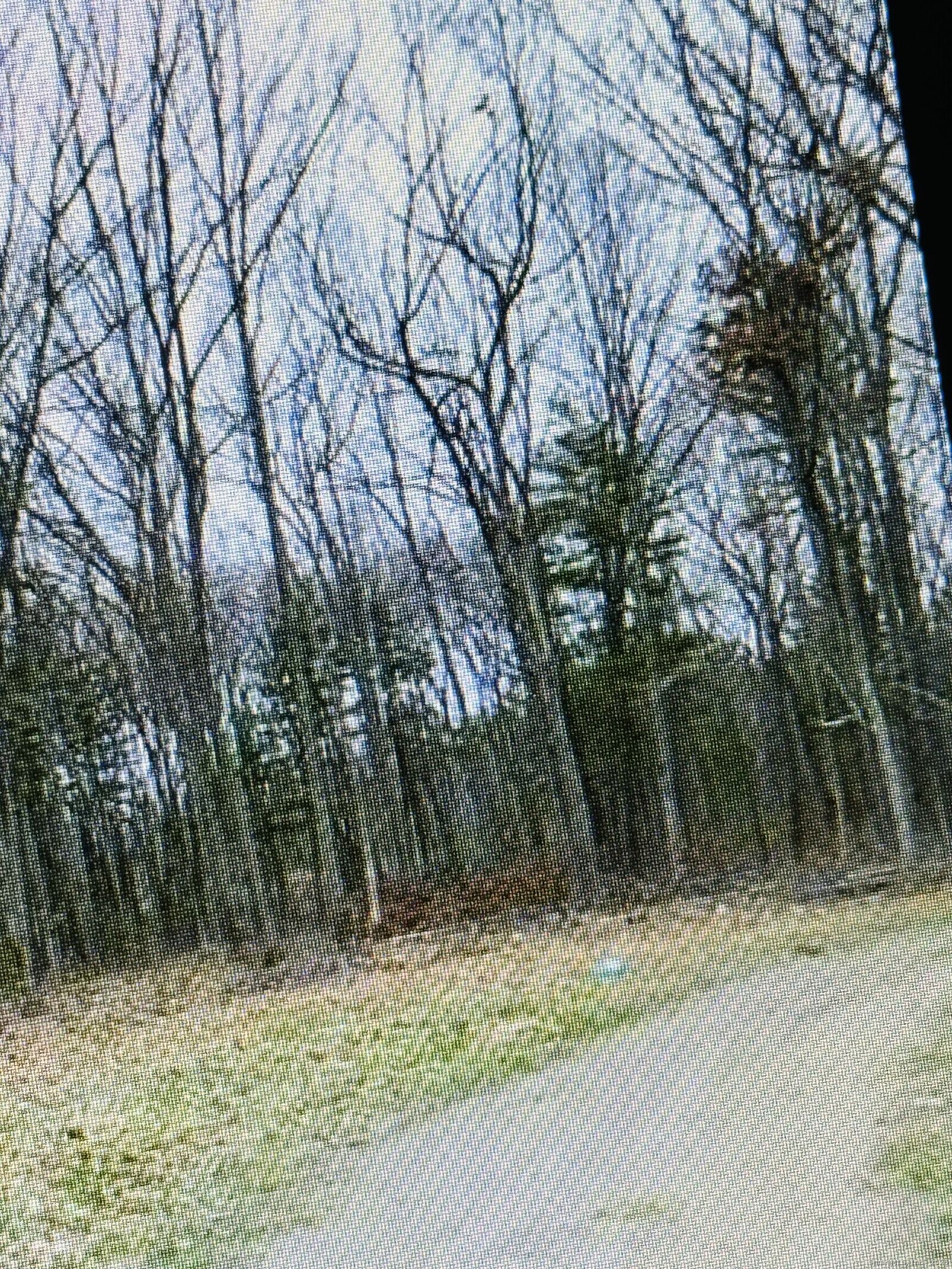 Property Photo: 25 Matthew Lane CT 06095
