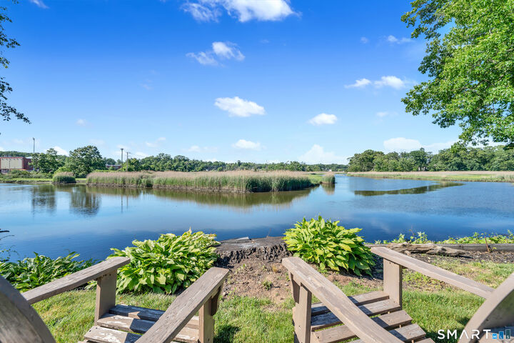 Property Photo:  44 Riverside Drive  CT 06405 