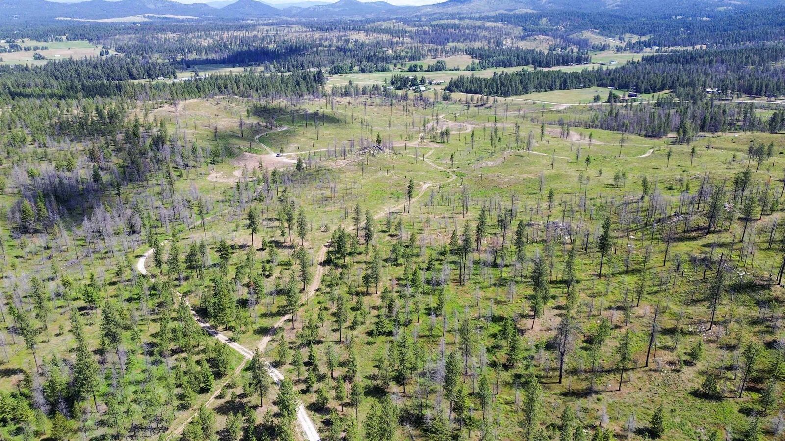 Property Photo:  357xx N Conklin Rd  WA 99009 