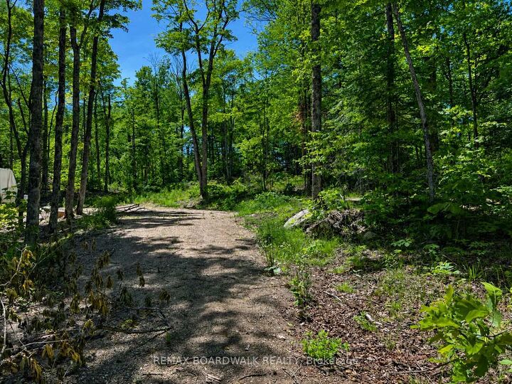 0 Buckshot Lake Road — photo 1