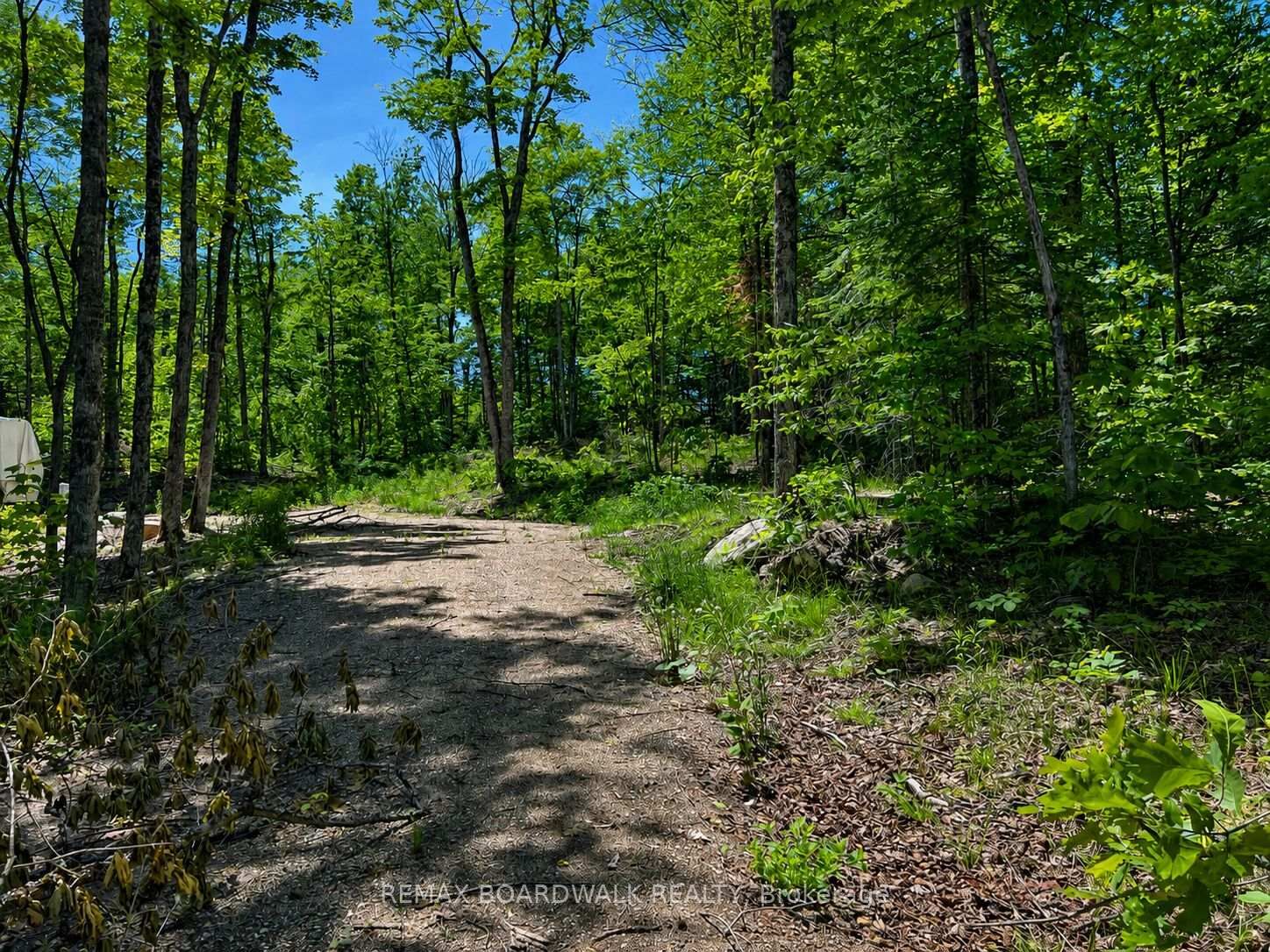 Property Photo:  0 Buckshot Lake Road  ON K0H 1K0 