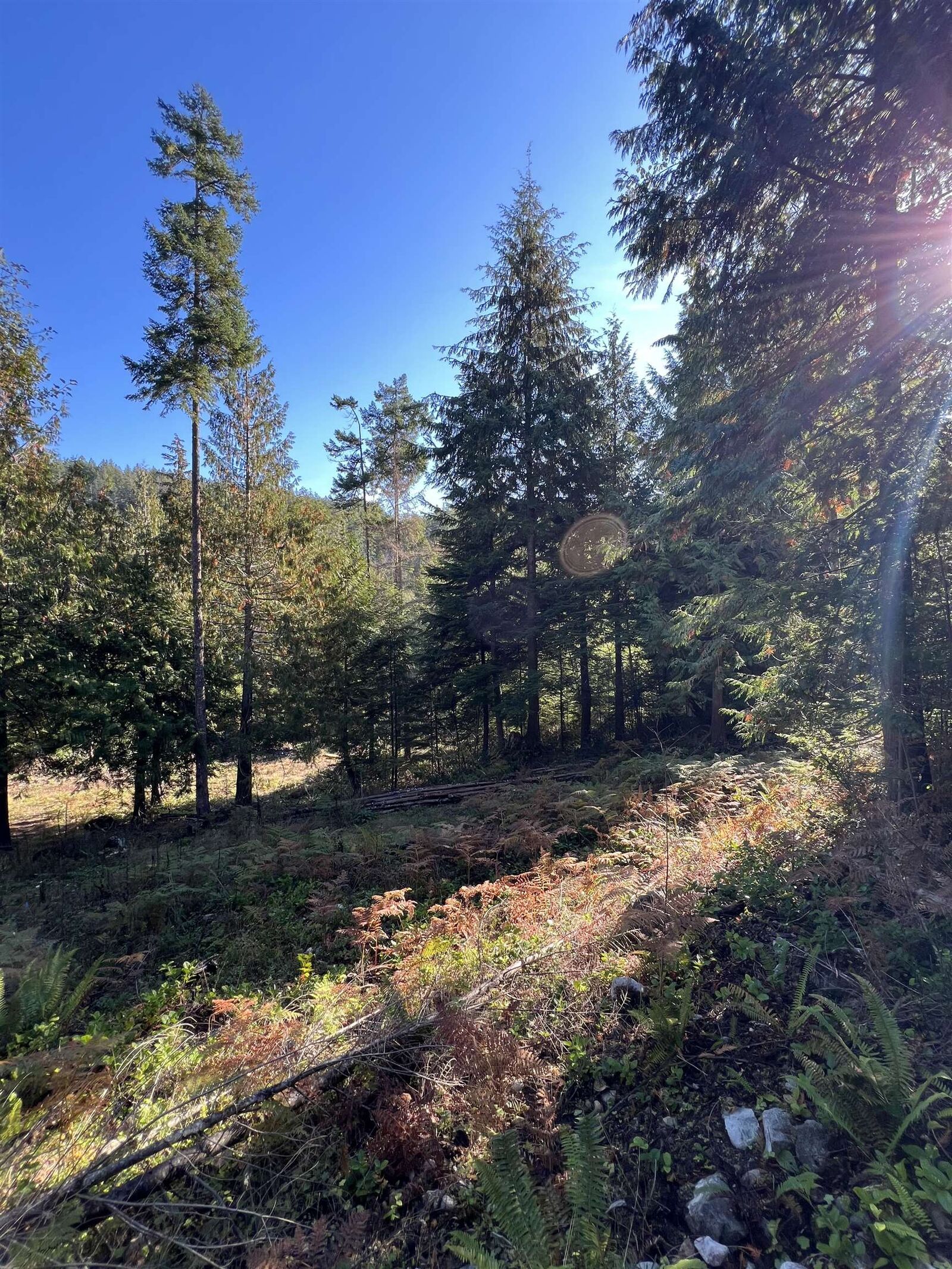 Property Photo:  13623 Lee Road  BC V0N 1S1 