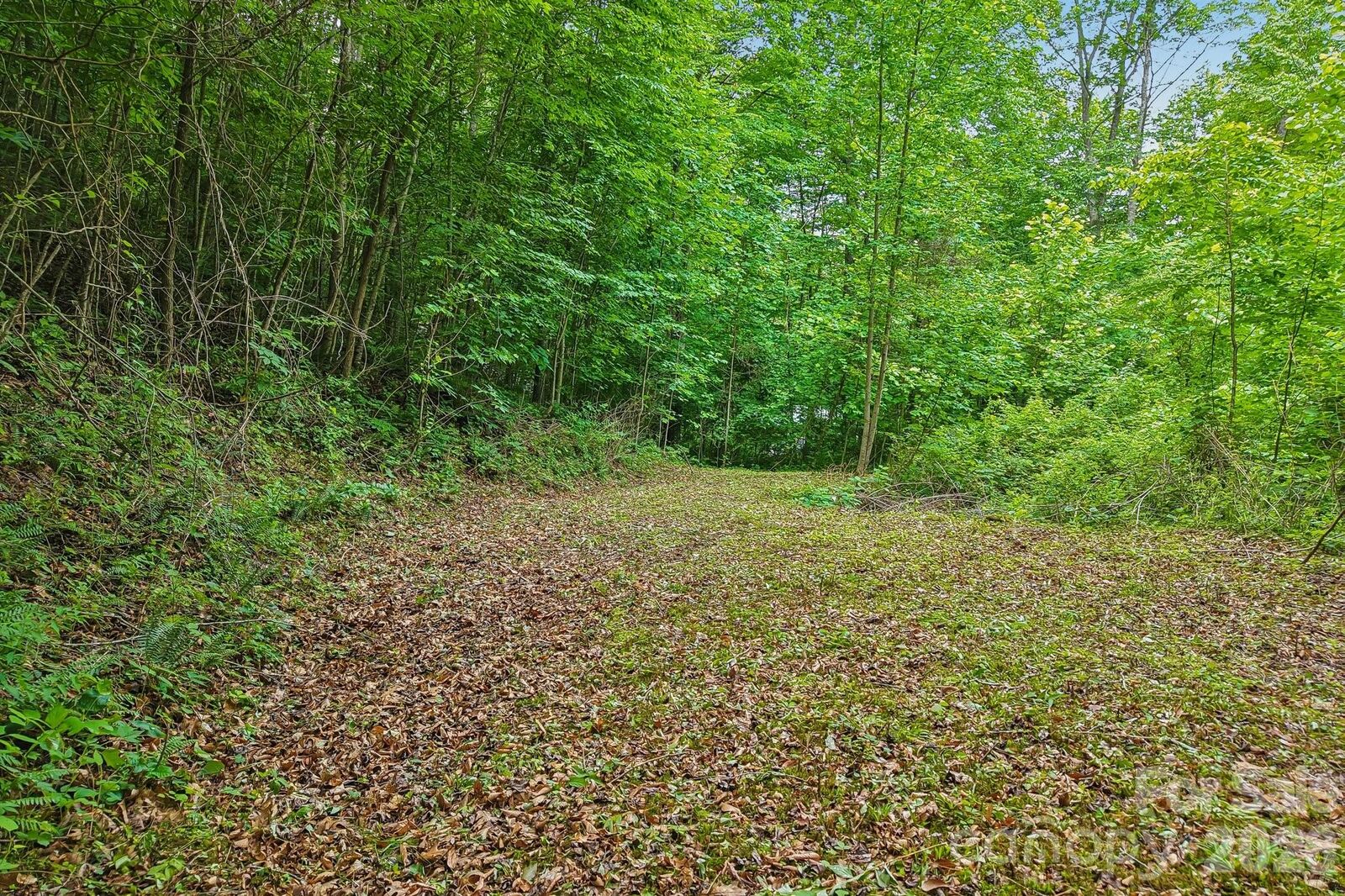 Property Photo:  00 Sequoyah Drive  NC 29786 
