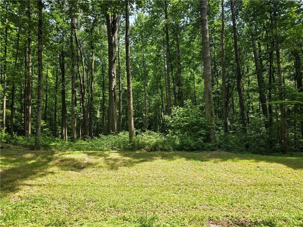 Property Photo:  5 Lots Rome St. &Amp Driver St.  GA 30179 