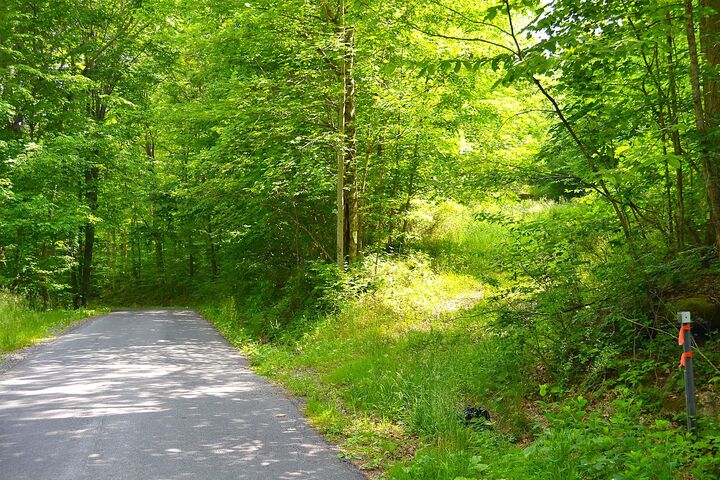 Property Photo: Cold Hollow Rd WV 25962
