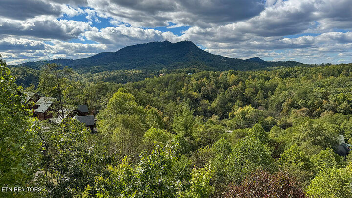 Property Photo:  1352 Timberwolf Way  TN 37876 