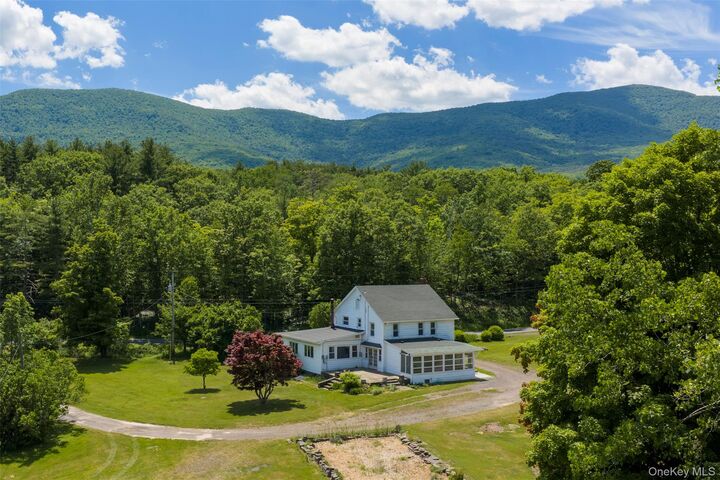 Property Photo:  80 Old South Durham Highway  NY 12405 