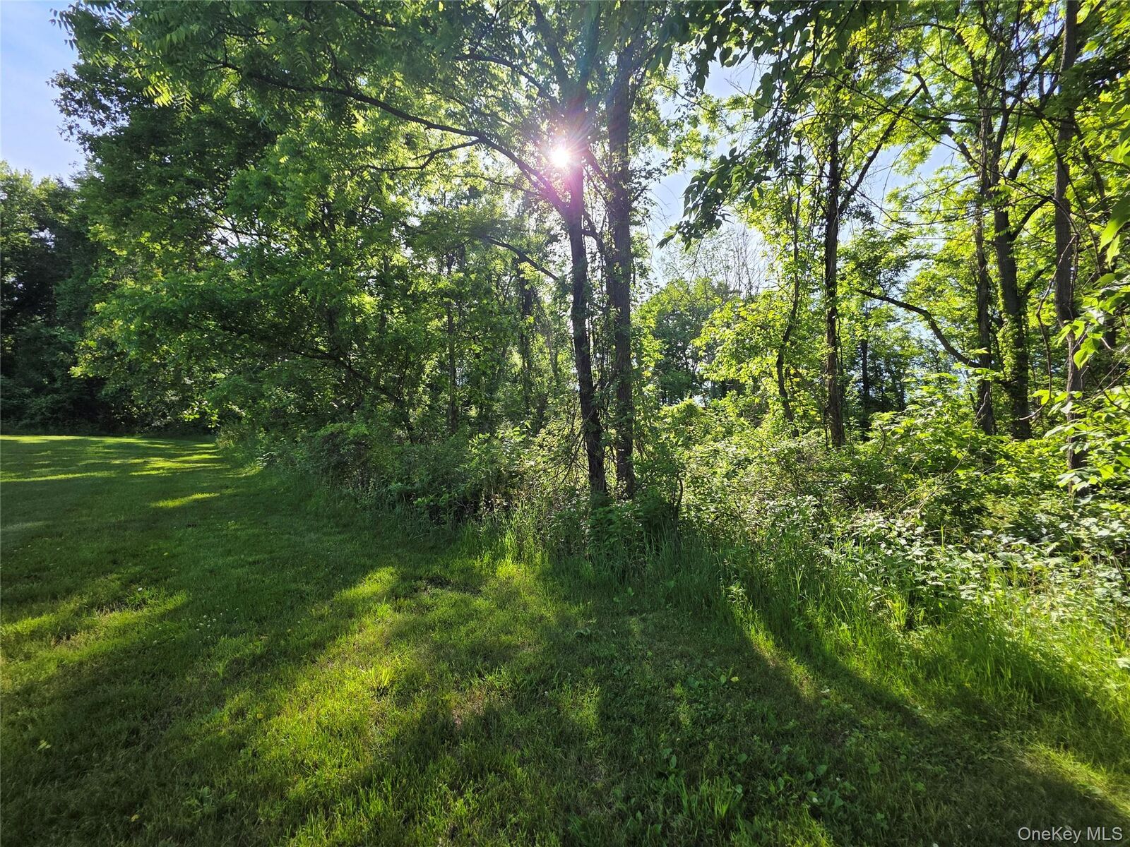 Property Photo: 140 Mount Airy Road NY 12553