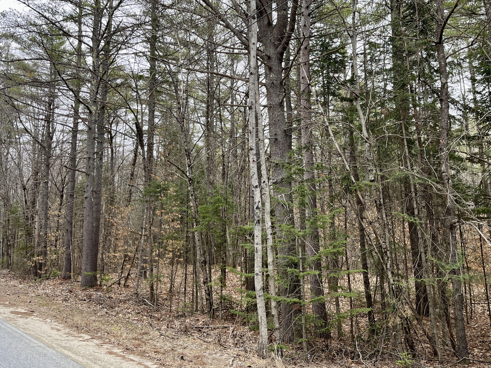 Property Photo:  0009A Church Hill Road  ME 04263 