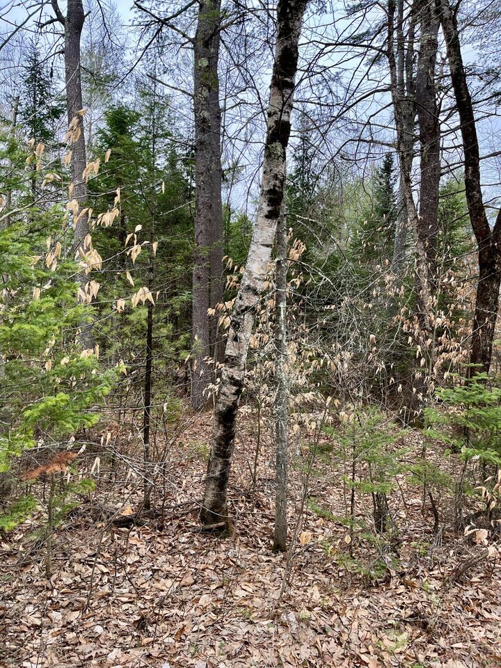 Property Photo:  0009A Rear Church Hill Road  ME 04263 
