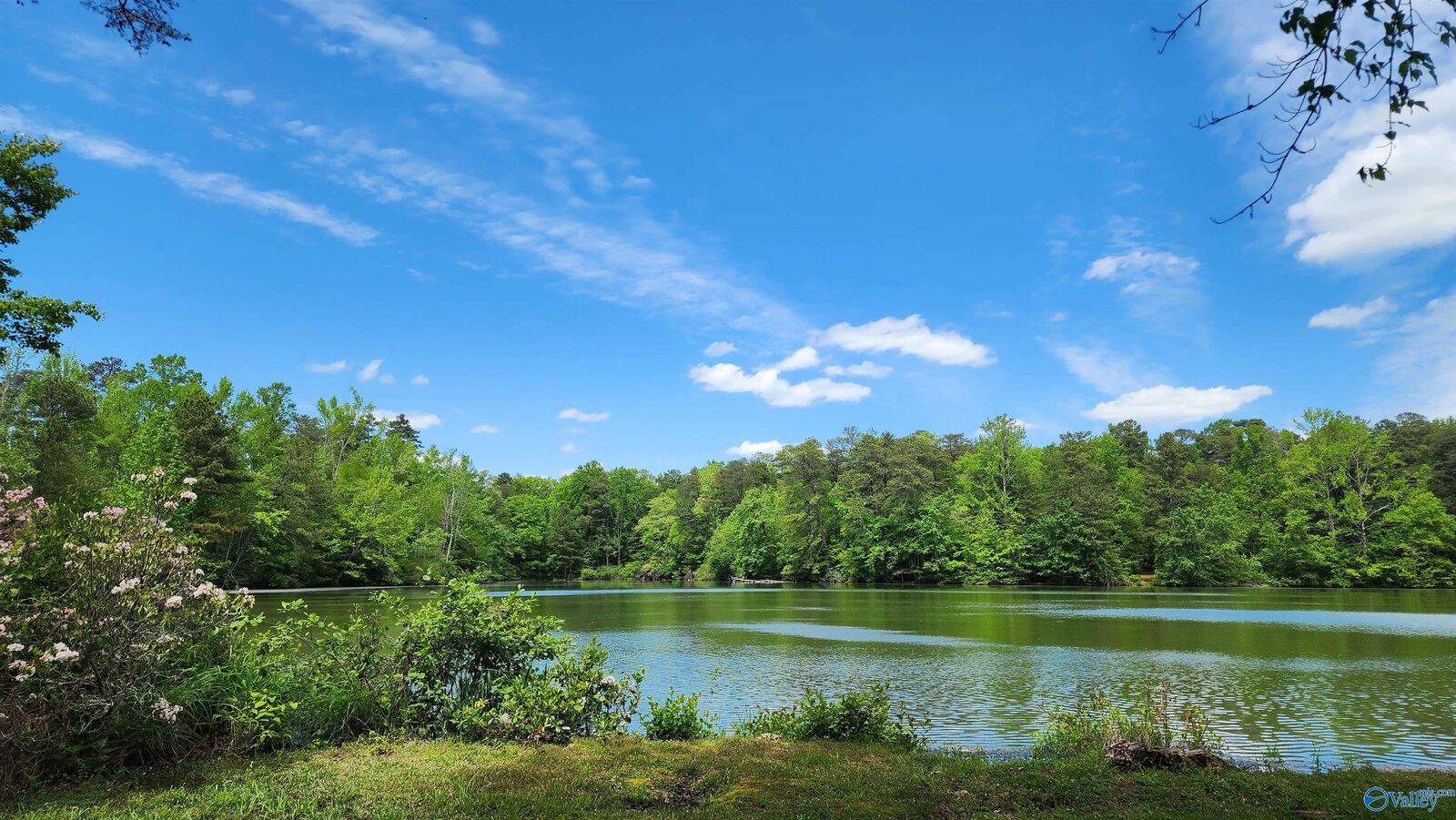 Property Photo:  390 Moon Lake Road  AL 35984 