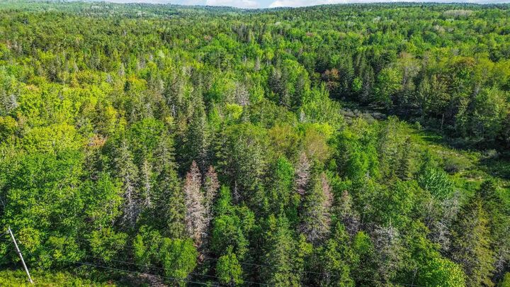 Property Photo:  West Dalhousie Road  NS B0S 1A0 