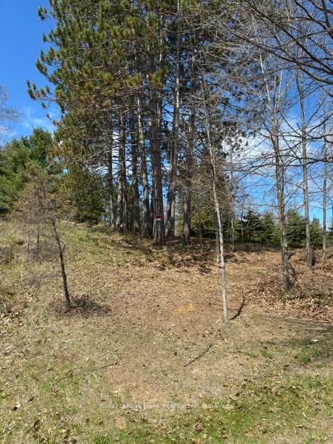 26686 Highway 62 N/A S — photo 1