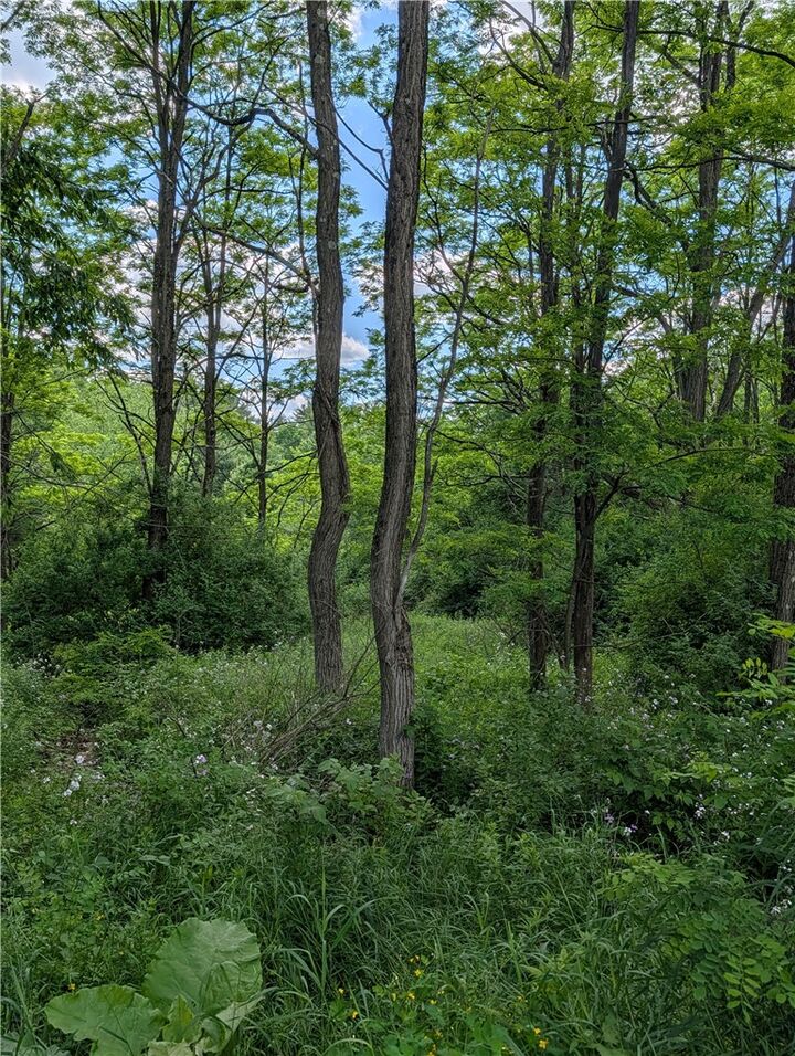 Property Photo:  Case Road  NY 13733 