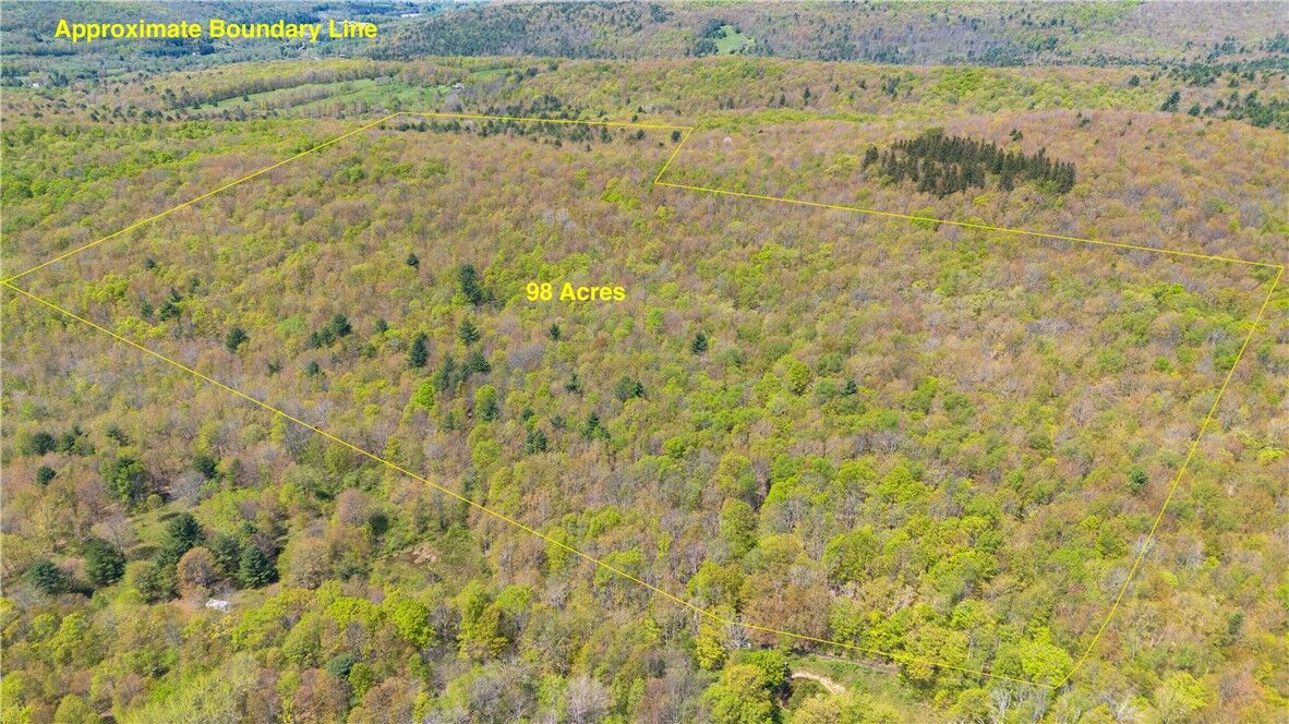 Property Photo: Sanly Road NY 13839