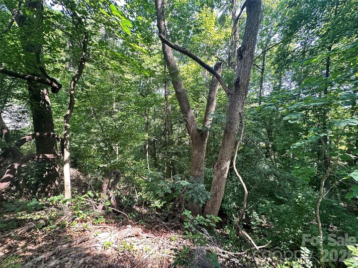 Property Photo: 7100 Colley Ford Lane 2 NC 28273