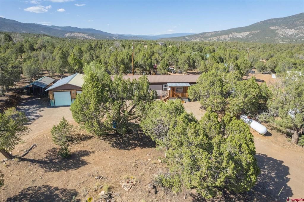 Property Photo:  98 Wandering Hills Place  CO 81121 