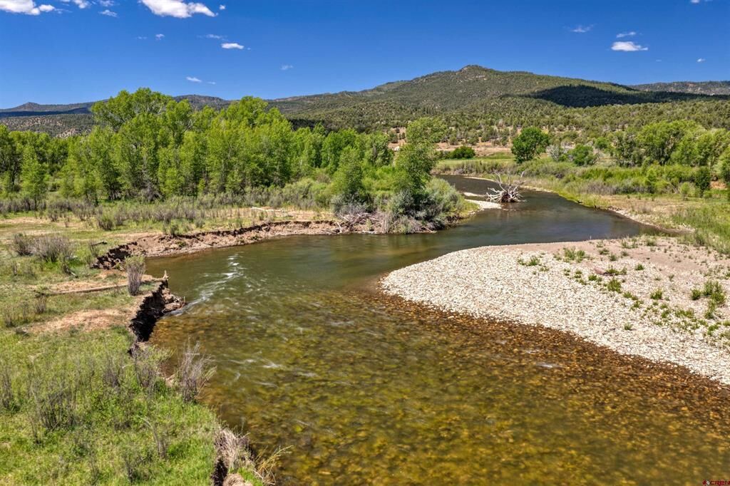 Property Photo:  12248 Usfs 613 Road  CO 81121 