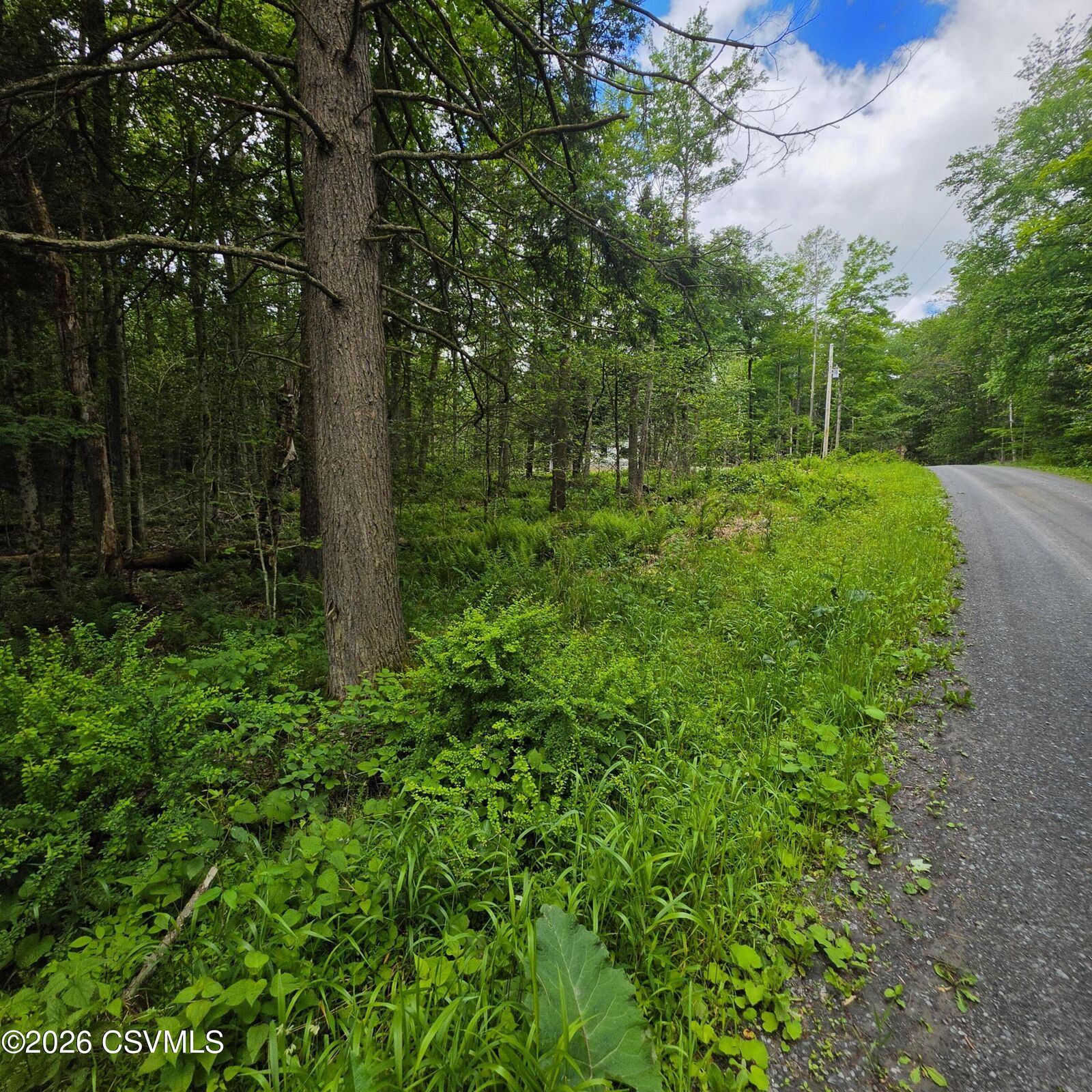 Property Photo:  Lot 23 Wooded Lane  PA 17758 