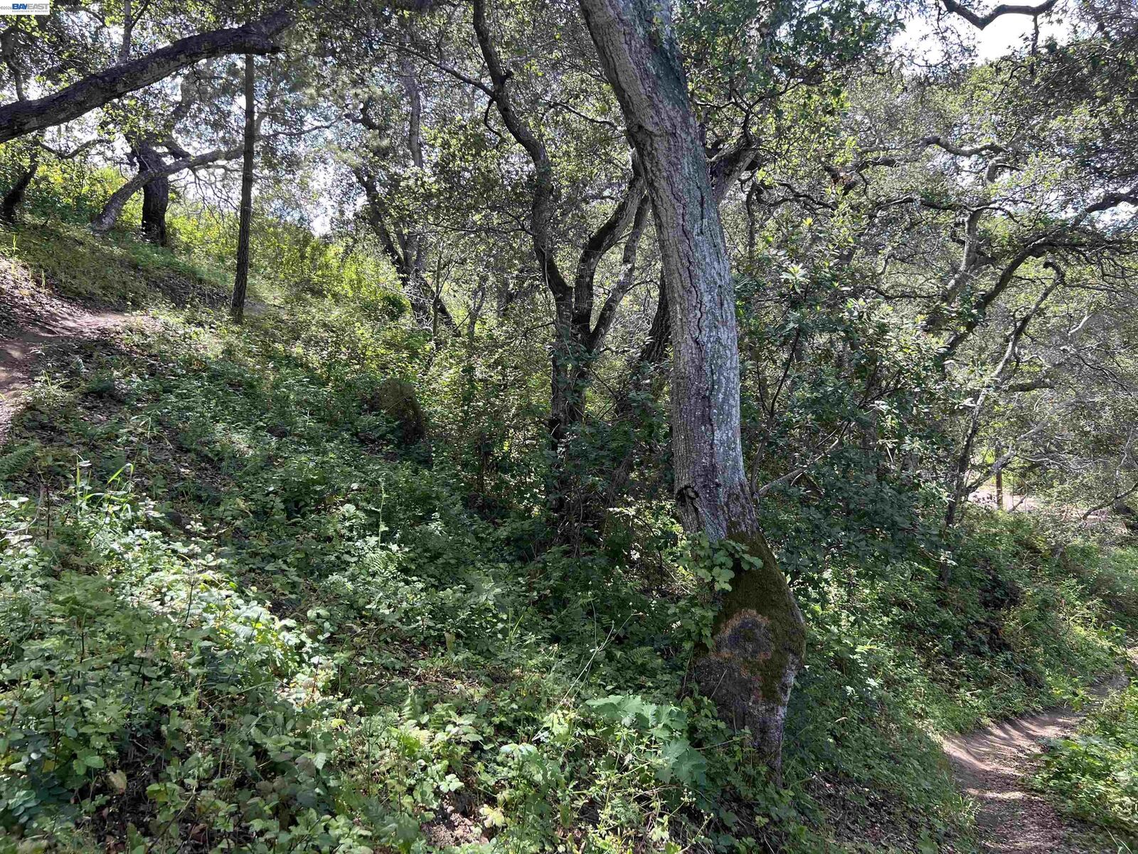 Property Photo: 00 Marburger Ave. CA 94002