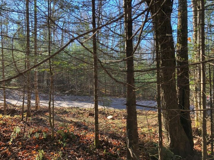Property Photo:  Off Boxberger Dr Lot 4  WI 54557 