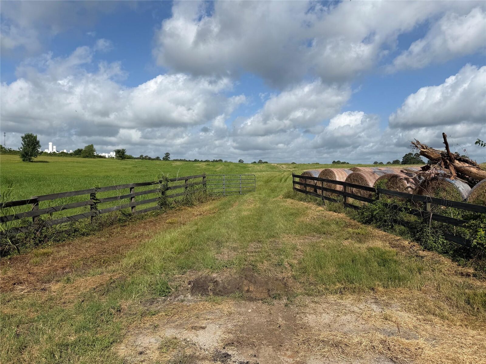 Property Photo:  17133 Fm 149  TX 77356 