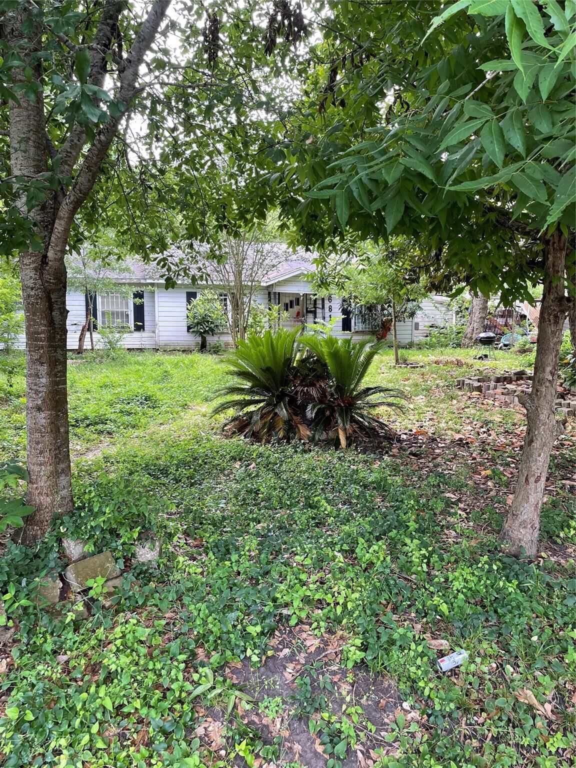 Property Photo: 6814 Evans St TX 77061