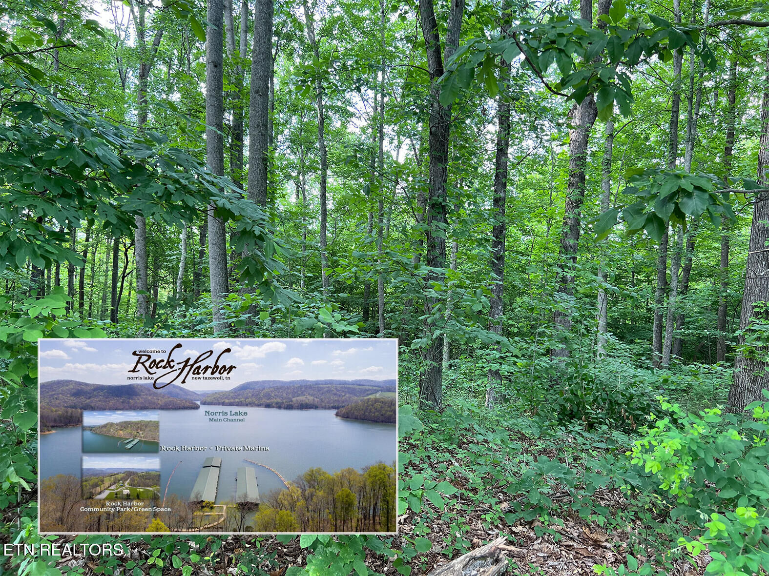 Property Photo: Lot 240 Tanzanite Tr TN 37825