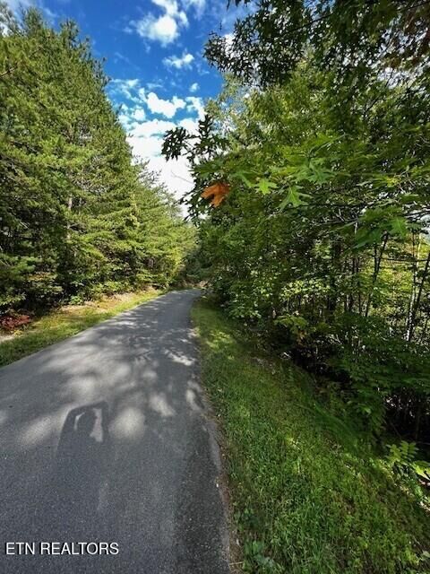 Property Photo: 252 Round Top Way TN 37862