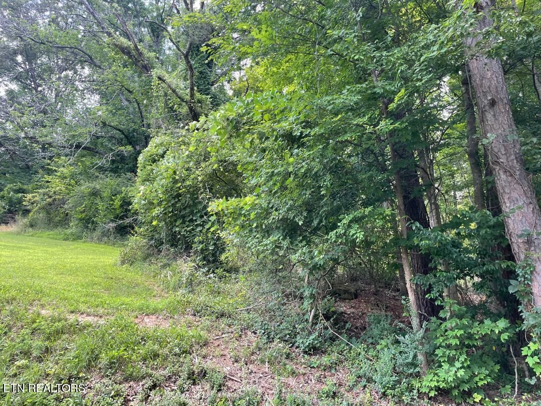 Property Photo:  64 Riddle St  TN 37321 