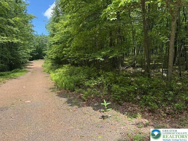 Property Photo:  Lot 250-Maple Lane  PA 18229 
