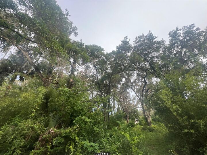 Property Photo: NE 32nd Street FL 34488