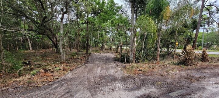 Property Photo: 0 N Poinciana Boulevard FL 34746