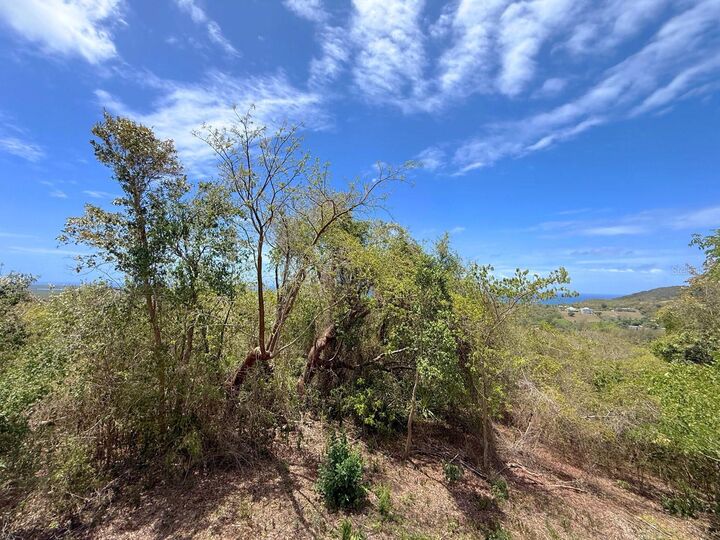 Property Photo: 89 Calle Casa Hix PR 00765