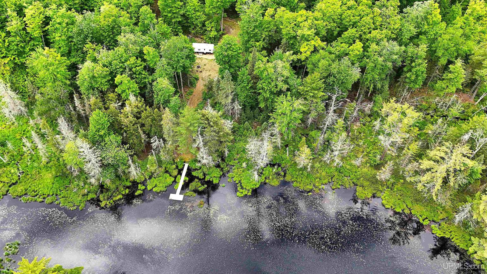 Property Photo:  Tbd Floating Bear Trail  MI 49814 