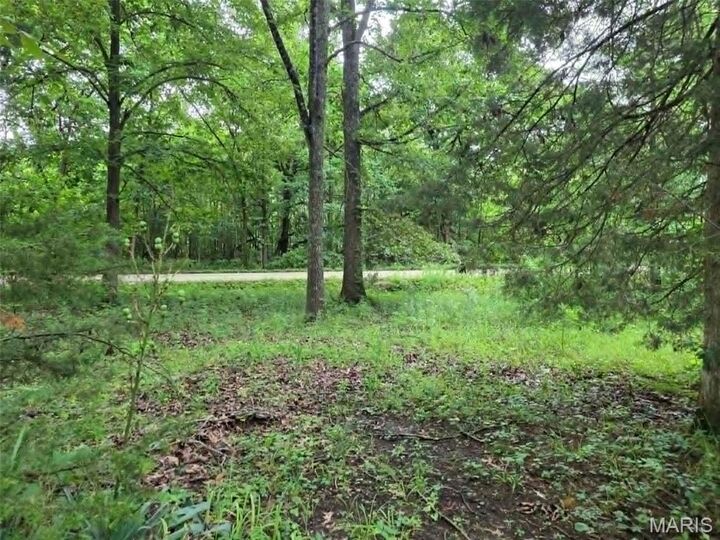 Property Photo:  951 County Road 514  MO 63966 