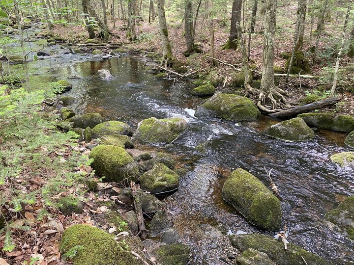 Property Photo: 783 Half Township Road ME 04457