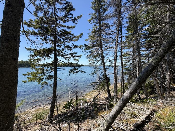 Property Photo: Lot 27 Breezy Bay Road ME 04609