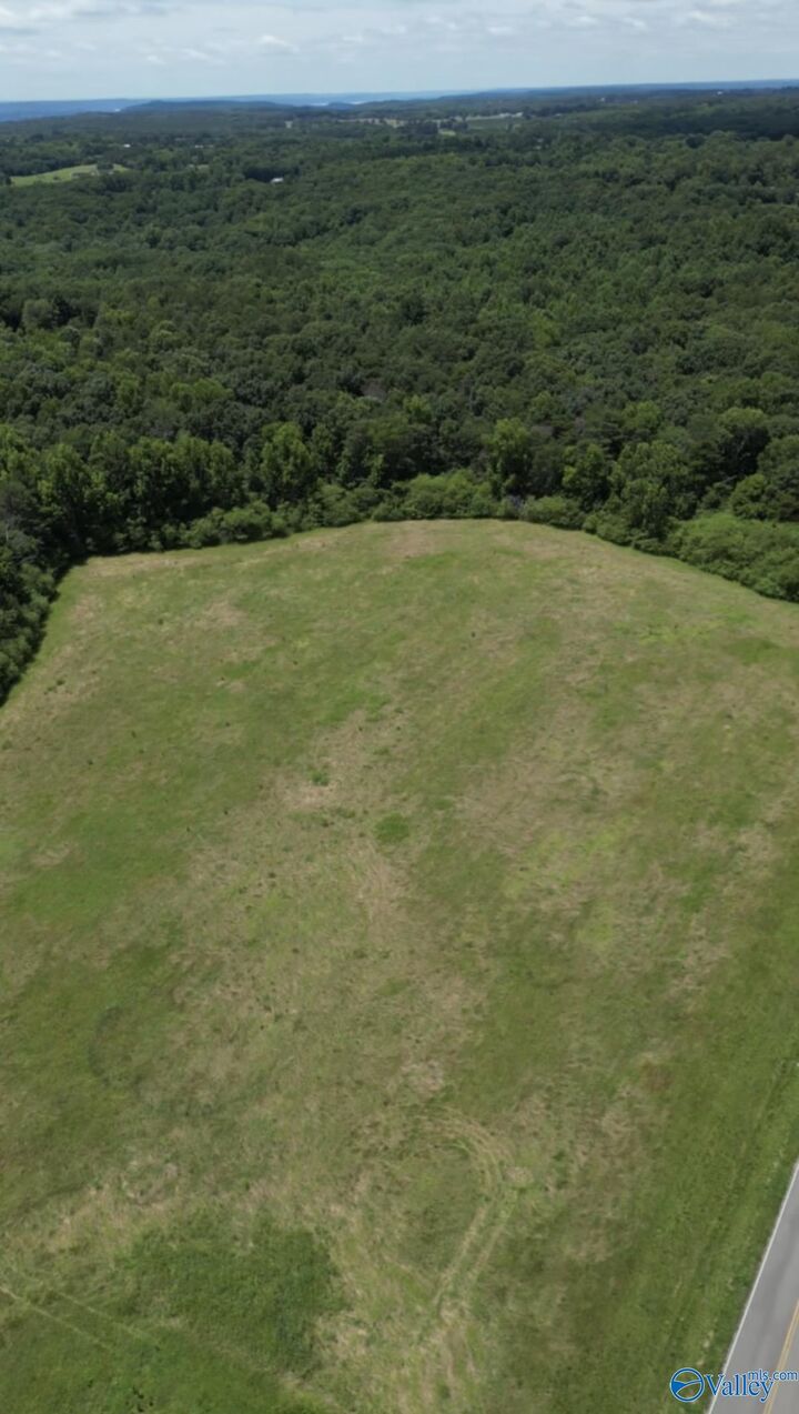 Property Photo: 17 Acres Swearengin Road AL 35976