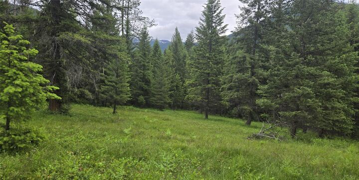 Property Photo:  Nhn Bull River Road  MT 59853 