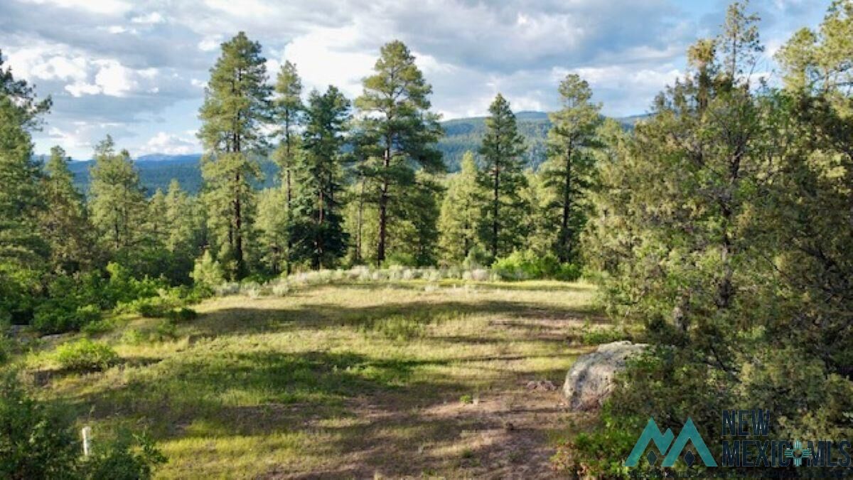 Property Photo: Owls 2A Blue Spruce Trail NM 87520