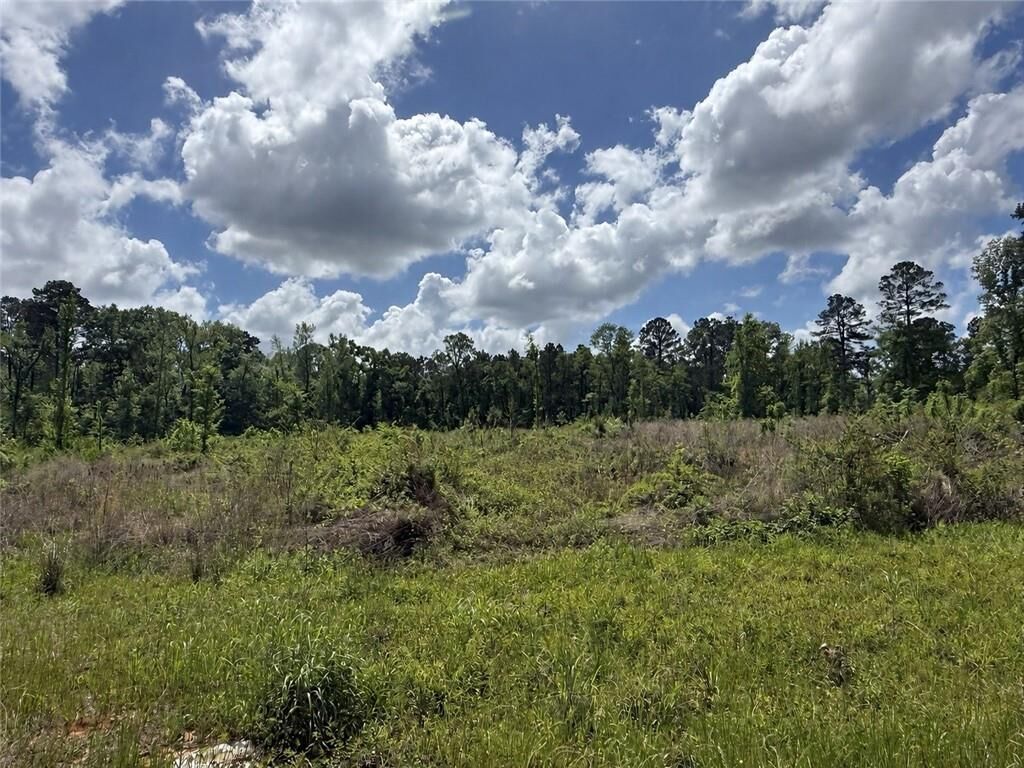 Property Photo:  Tbd Newsome Road  LA 71360 