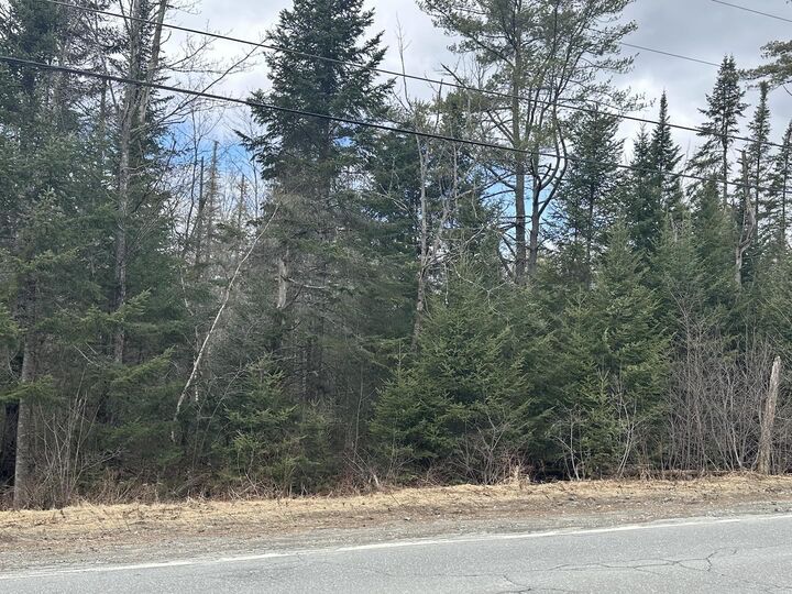 Property Photo:  0 North Littleton Road  NH 03561 